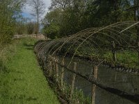 NL, Noord-Brabant, Lith, Lithse eendenkooi 6, Saxifraga-Jan van der Straaten