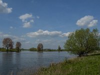 NL, Noord-Brabant, Lith, Maas 5, Saxifraga-Jan van der Straaten
