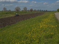NL, Noord-Brabant, Lith, Maasdijk 1, Saxifraga-Jan van der Straaten