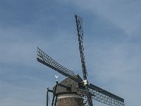 NL, Noord-Brabant, Nuenen 4, Saxifraga-Jan van der Straaten