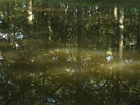 NL, Noord-Brabant, Oirschot, Baest, Beerze 10, Saxifraga-Jan van der Straaten