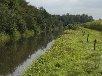 NL, Noord-Brabant, Oirschot, De Baest, Diversion canal 2, Saxifraga-Jan van der Straaten