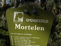 NL, Noord-Brabant, Oirschot, De Mortelen 14, Saxifraga-Jan van der Straaten
