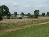 NL, Noord-Brabant, Oss, Het Wild 1, Saxifraga-Willem van Kruijsbergen