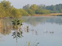 NL, Noord-Brabant, Valkenswaard, Greveschutven in Landgoed Valkenhorst 11, Saxifraga-Tom Heijnen