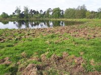NL, Noord-Brabant, Valkenswaard, Visvijvers in Landgoed Valkenhorst 40, Saxifraga-Tom Heijnen