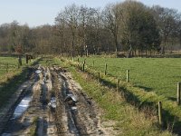 NL, Noord-Brabant, Waalre, De Elshouters 2, Saxifraga-Jan van der Straaten