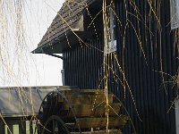 NL, Noord-Brabant, Waalre, Volmolen 1, Saxifraga-Jan van der Straaten