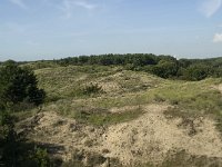 NL, Noord-Holland, Bloemendaal, Zuid Kennemerland 12, Saxifraga-Willem van Kruijsbergen