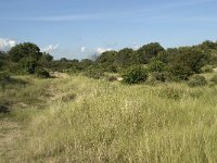 NL, Noord-Holland, Bloemendaal, Zuid Kennemerland 6, Saxifraga-Willem van Kruijsbergen