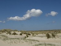 NL, Noord-Holland, Texel, De Hors 11, Saxifraga-Jan van der Straaten