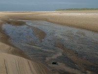 NL, Noord-Holland, Texel, De Hors 16, Saxifraga-Jan van der Straaten