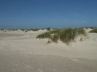 NL, Noord-Holland, Texel, De Hors 18, Saxifraga-Willem van Kruijsbergen