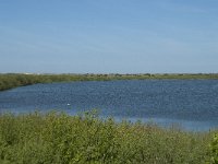 NL, Noord-Holland, Texel, De Horsmeertjes 6, Saxifraga-Willem van Kruijsbergen