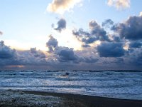 NL, Noord-Holland, Texel, De Koog, Paal 20 2, Saxifraga-Bart Vastenhouw