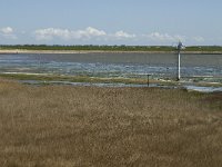 NL, Noord-Holland, Texel, De Mokbaai 1, Saxifraga-Jan van der Straaten