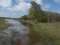 NL, Noord-Holland, Texel, De Muy 25, Saxifraga-Willem van Kruijsbergen