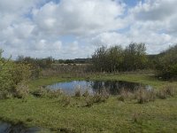 NL, Noord-Holland, Texel, De Muy 28, Saxifraga-Willem van Kruijsbergen