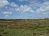 NL, Noord-Holland, Texel, De Muy 8, Saxifraga-Willem van Kruijsbergen