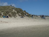 NL, Noord-Holland, Texel, De Slufter 67, Saxifraga-Willem van Kruijsbergen