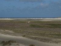 NL, Noord-Holland, Texel, De Slufter 80, Saxifraga-Willem van Kruijsbergen
