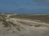 NL, Noord-Holland, Texel, De Slufter 81, Saxifraga-Willem van Kruijsbergen