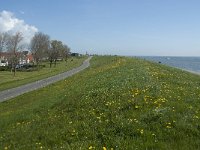 NL, Noord-Holland, Texel, Oudeschild 4, Saxifraga-Willem van Kruijsbergen