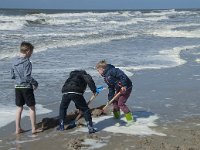 NL, Noord-Holland, Texel, Paal 21 5, Saxifraga-Willem van Kruijsbergen