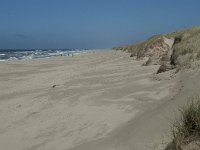 NL, Noord-Holland, Texel, Paal 22 1, Saxifraga-Willem van Kruijsbergen