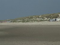NL, Noord-Holland, Texel, Paal 28 8, Saxifraga-Willem van Kruijsbergen