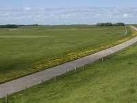 NL, Noord-Holland, Texel, Polder de Eendracht 1, Saxifraga-Jan van der Straaten