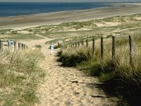 NL, Noord-Holland, Velsen, Duin en Kruidberg 3, Saxifraga-Piet Munsterman