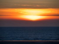 NL, Noord-Holland, Velsen, Strand Zuidpier 1, Saxifraga-Bart Vastenhouw