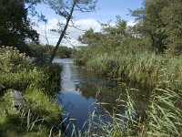 NL, Noord-Holland, Wijdemeren, s-Graveland, Het Hol 4, Saxifraga-Marijke Verhagen
