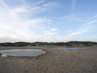 NL, Noord-Holland, Zandvoort, Het Kraansvlak 2, Saxifraga-Bart Vastenhouw