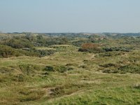 NL, Noord-Holland, Zandvoort, Kraaienveld 1, Saxifraga-Jan van der Straaten