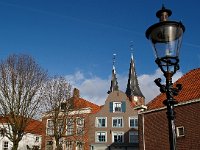 NL, Overijssel, Deventer 11, Saxifraga-Hans Dekker