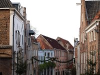 NL, Overijssel, Deventer 2, Saxifraga-Hans Dekker