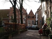 NL, Overijssel, Deventer 21, Saxifraga-Hans Dekker