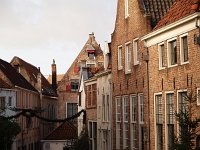 NL, Overijssel, Deventer 3, Saxifraga-Hans Dekker