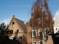 NL, Overijssel, Deventer 8, Saxifraga-Hans Dekker