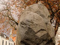 NL, Utrecht, Amersfoort 7, Saxifraga-Foto Fitis-Sytske Dijksen