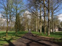 NL, Utrecht, De Bilt, Eykenstein 2, Saxifraga-Foto Fitis-Sytske Dijksen
