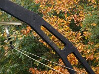 NL, Utrecht, De Bilt, Hollandsche Rading 4, Saxifraga-Foto Fitis-Sytske Dijksen