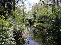 NL, Utrecht, De Bilt, Landgoed Sandwijck 4, Saxifraga-Foto Fitis-Sytske Dijksen