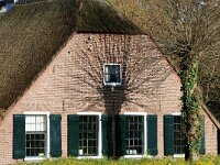 NL, Utrecht, De Bilt, Maartensdijk 1, Saxifraga-Foto Fitis-Sytske Dijksen