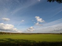 NL, Utrecht, Utrechtse Heuvelrug, Amerongen 2, Saxifraga-Bart Vastenhouw