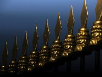 NL, Utrecht, Utrechtse Heuvelrug, Kasteel Amerongen 6, Saxifraga-Sytske Dijksen