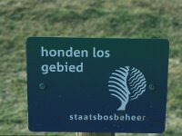 NL, Zeeland, Schouwen-Duiveland, De Schelphoek 6, Saxifraga-Jan van der Straaten