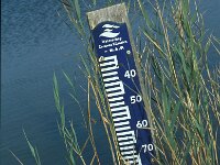 NL, Zeeland, Schouwen-Duiveland, Dijkwater 6, Saxifraga-Jan van der Straaten